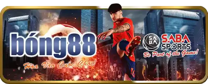 Chương trình VIP pkvip88